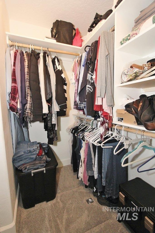 415 S Fern St, Nampa, ID 83686 - walk in closet with carpet