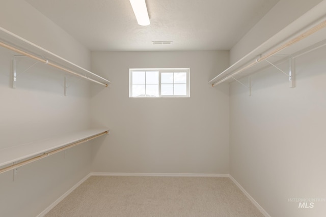 2059 N Thunderbolt St, Mountain Home, ID 83647 - walk in closet featuring carpet floors