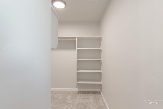 walk in closet featuring light carpet