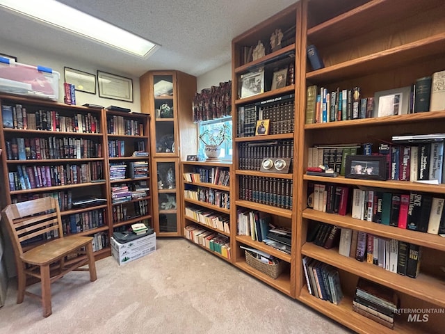 sitting room featuring carpet floors, bookshelves, and a textured ceiling