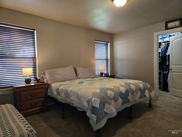 235 Meadow View Dr, Payette, ID 83661 - bedroom with carpet flooring, a spacious closet, and a closet