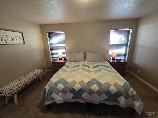 235 Meadow View Dr, Payette, ID 83661 - bedroom with dark colored carpet, multiple windows, and a textured ceiling