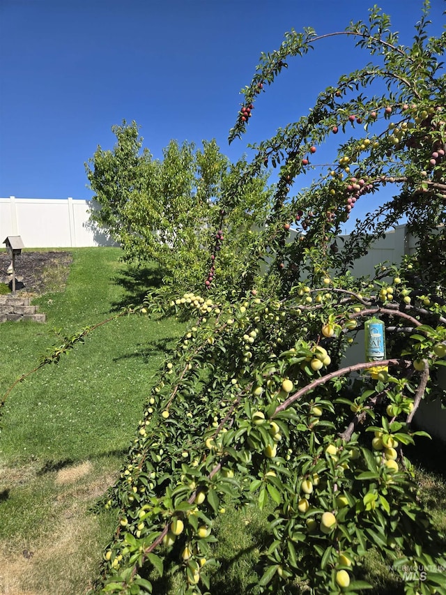 235 Meadow View Dr, Payette, ID 83661 - view of yard
