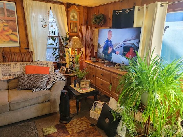 living area featuring wood walls