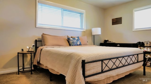 carpeted bedroom with multiple windows