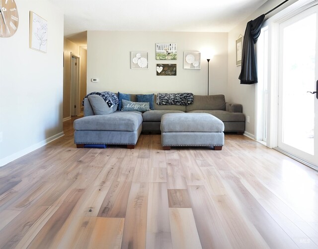 living room with light wood-type flooring and a wealth of natural light