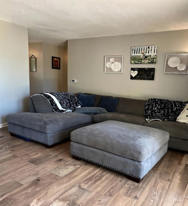 living room with a textured ceiling and hardwood / wood-style floors