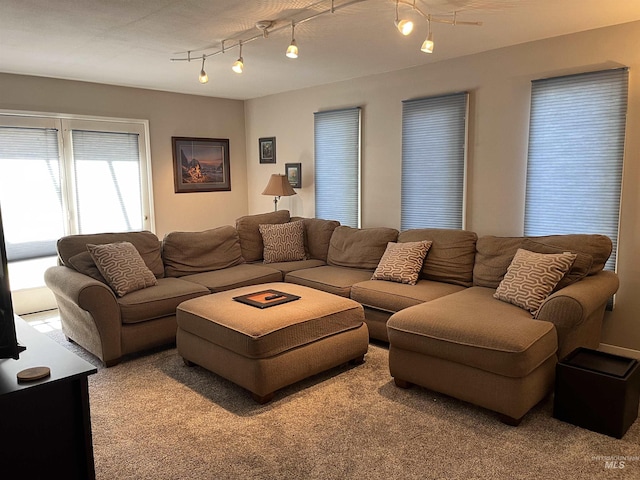 354 W Syringa Ct, Lewiston, ID 83501 - view of carpeted living room