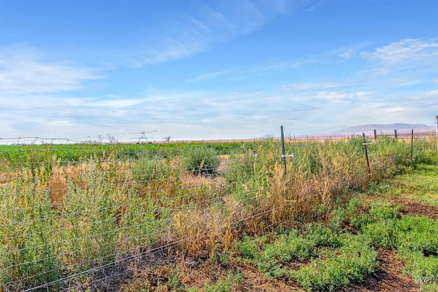 view of landscape featuring a rural view