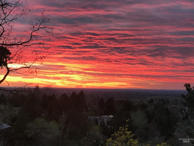 view of nature at dusk