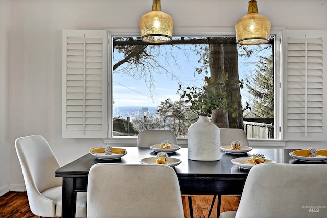 dining room with dark wood-type flooring