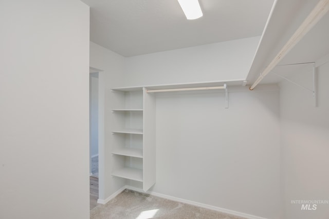 walk in closet featuring light carpet