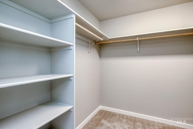 walk in closet featuring carpet