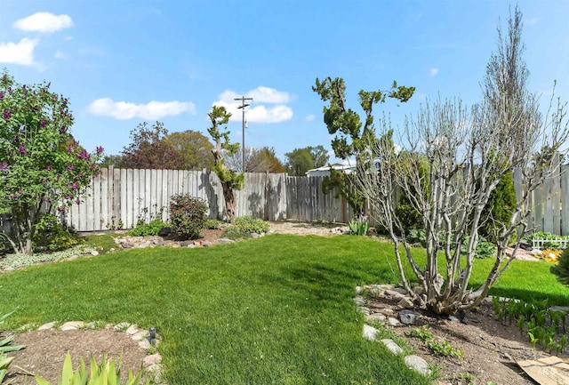 view of yard with a fenced backyard