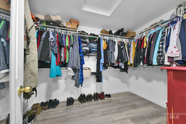 spacious closet featuring wood-type flooring