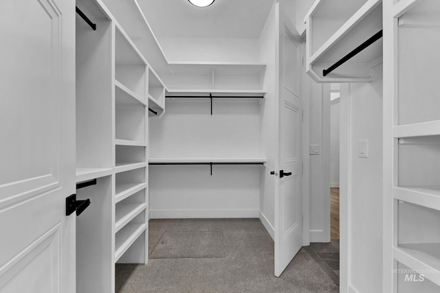 spacious closet featuring light colored carpet