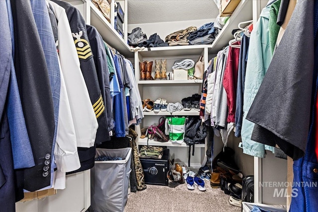 spacious closet featuring carpet