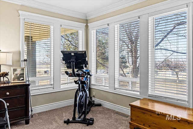 exercise area featuring a textured wall, carpet flooring, crown molding, and baseboards