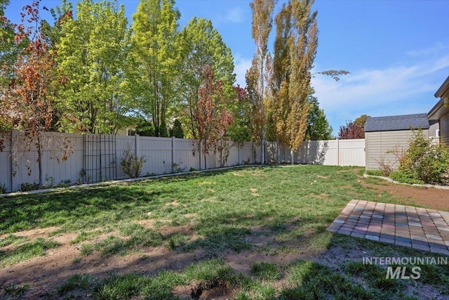 view of yard with a storage unit, a patio, an outdoor structure, and a fenced backyard