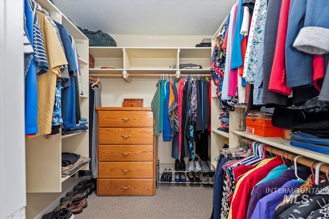 spacious closet featuring carpet flooring