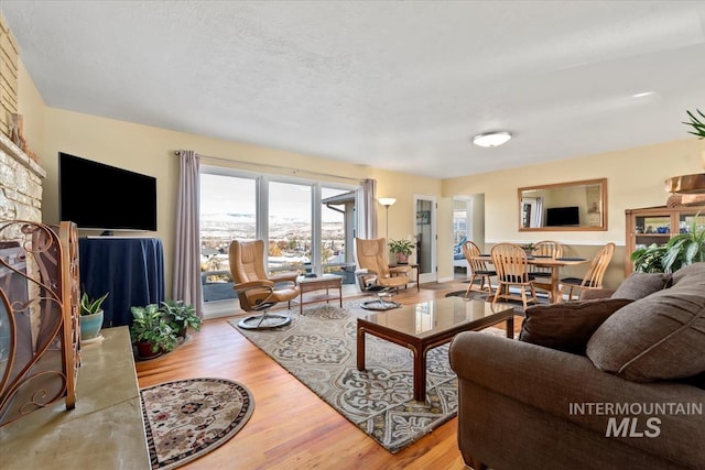 living room featuring light hardwood / wood-style flooring