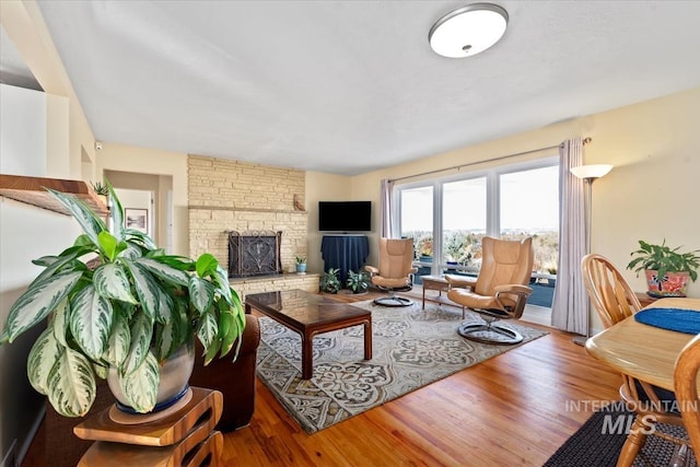 living room with a fireplace and wood-type flooring