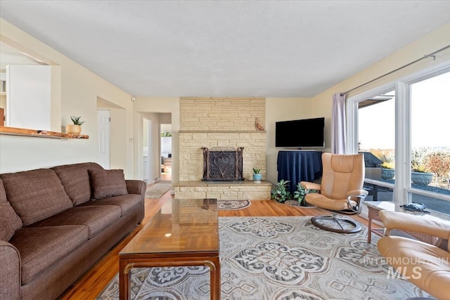 living room with a fireplace and hardwood / wood-style flooring