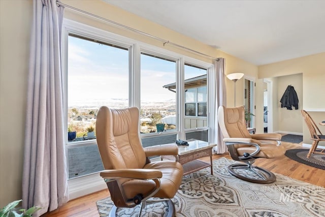 sitting room featuring light hardwood / wood-style flooring