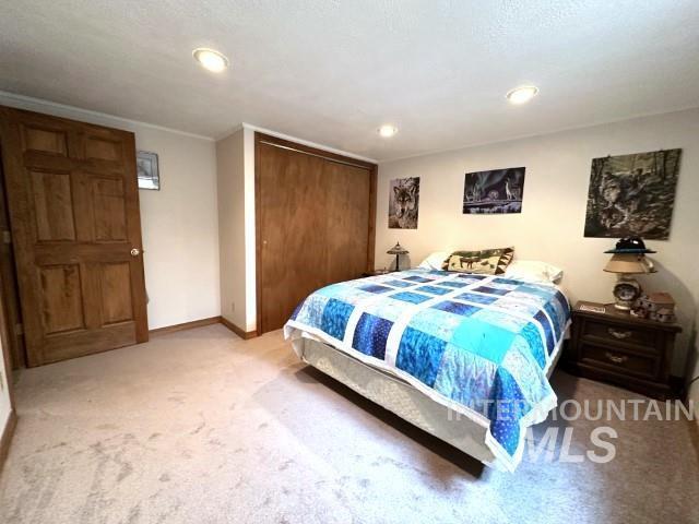 carpeted bedroom with a closet