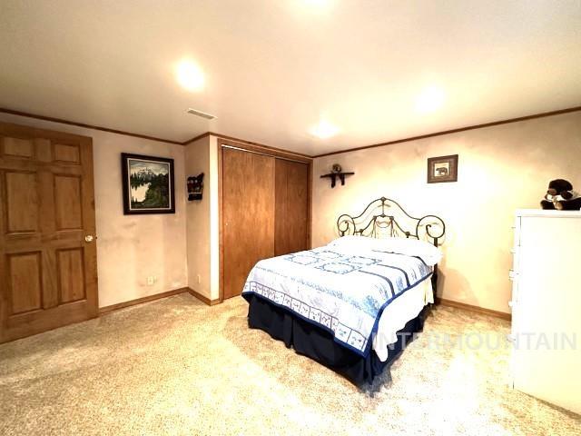 carpeted bedroom with ornamental molding and a closet