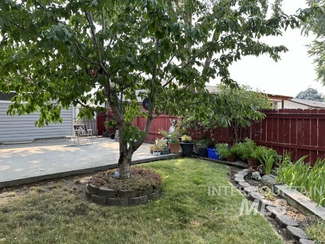 view of yard featuring a patio area