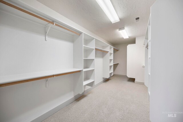 walk in closet featuring light colored carpet