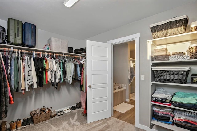 spacious closet with carpet floors