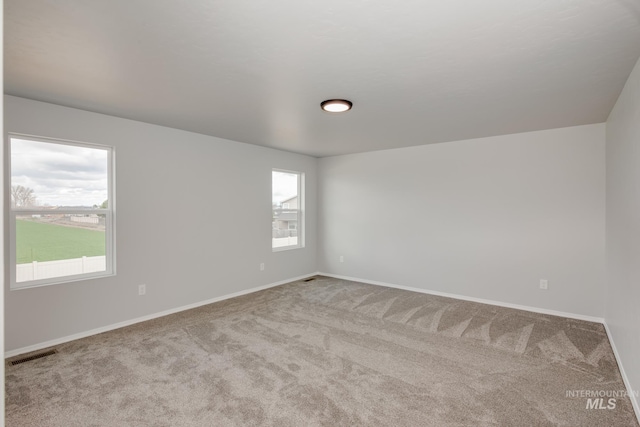 carpeted spare room featuring a wealth of natural light