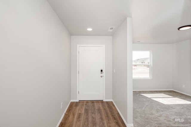 entryway featuring wood-type flooring