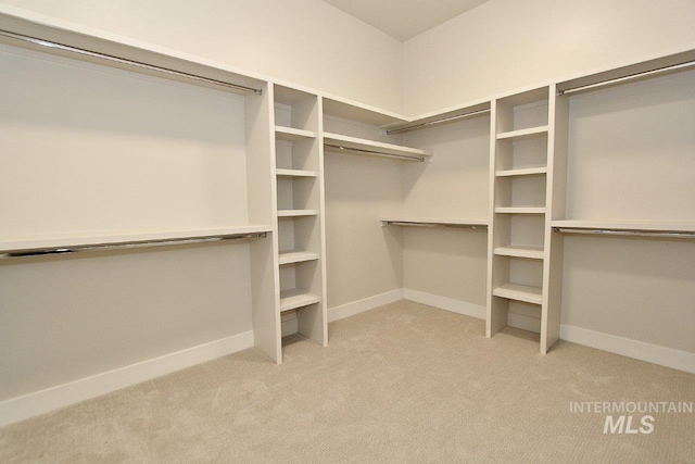 spacious closet with light carpet