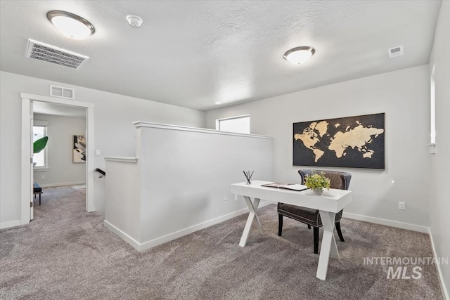 2252 E Tiger Lily Dr, Boise, ID 83716 - carpeted office featuring baseboards