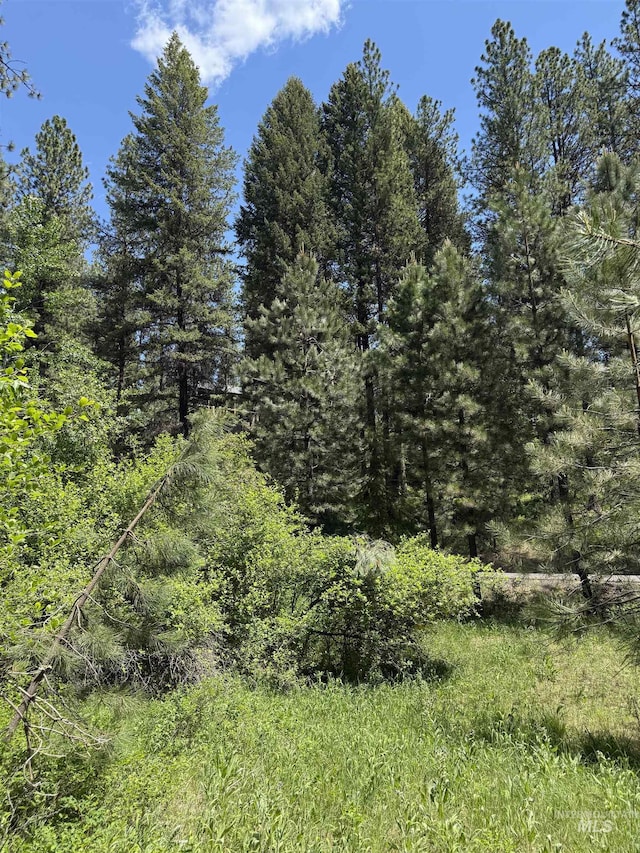 LOT2 Yampa Ct, New Meadows, ID 83654