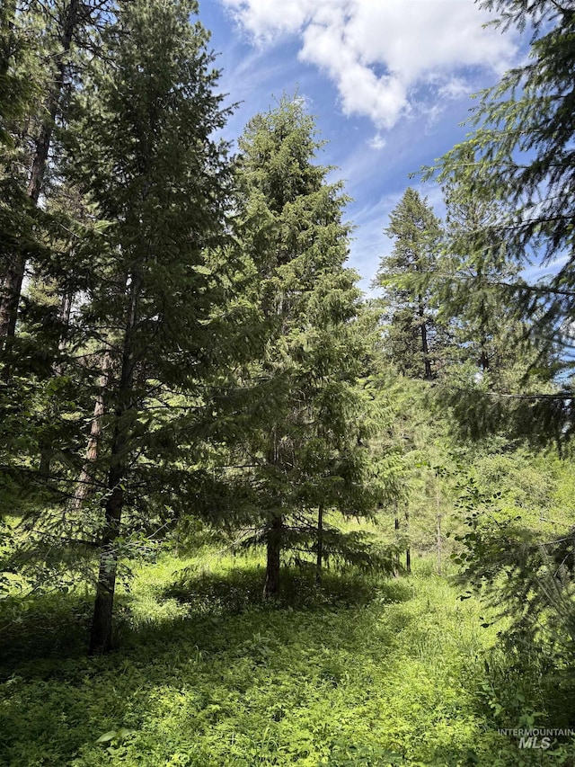 LOT2 Yampa Ct, New Meadows, ID 83654