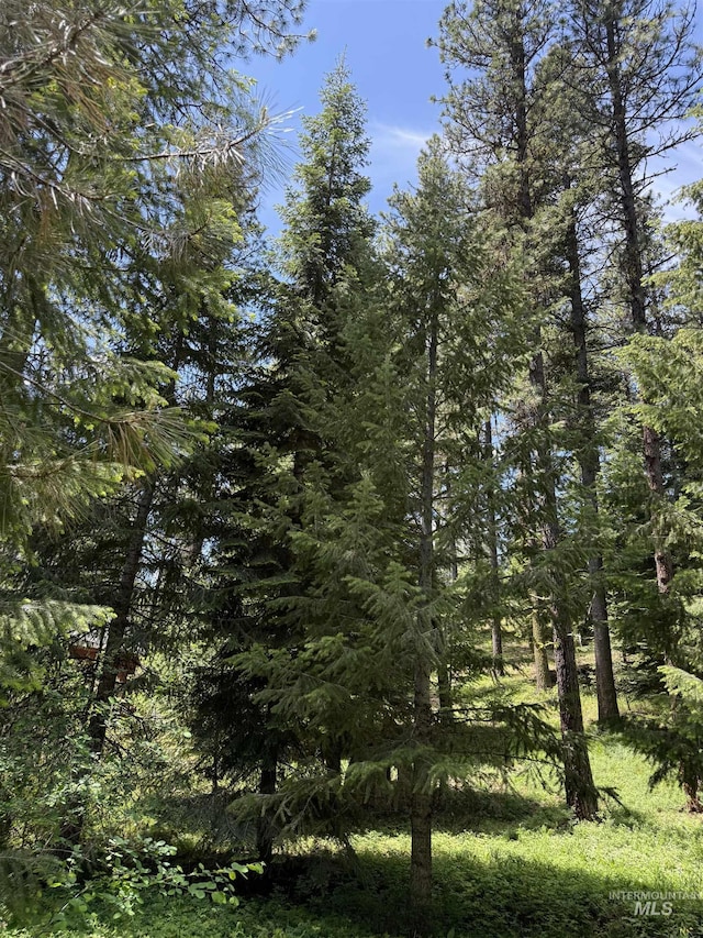 LOT2 Yampa Ct, New Meadows, ID 83654