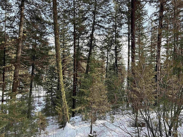 Listing photo 3 for LOT2 Yampa Ct, New Meadows ID 83654