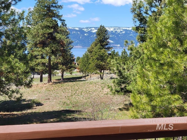 view of yard with a water view