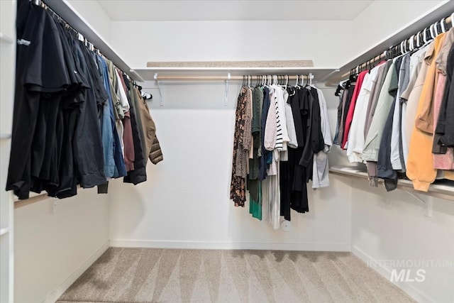 19321 Geneva Way, Caldwell, ID 83605 - spacious closet featuring carpet flooring