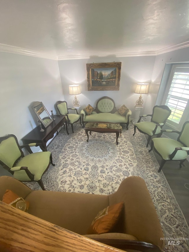 living area featuring crown molding