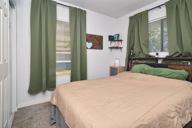 1713 Blaine St, Caldwell, ID 83605 - carpeted bedroom with baseboards
