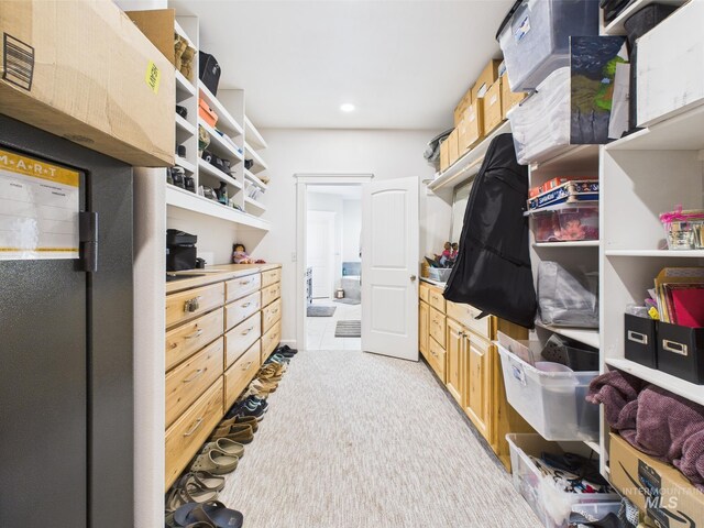walk in closet with light carpet