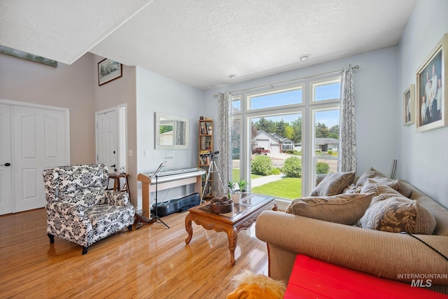 1229 N Hiltonhead Way, Eagle, ID 83616 - living area with wood finished floors and a textured ceiling