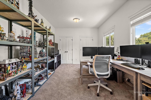 4902 N Schubert Ave, Meridian, ID 83646 - view of carpeted home office