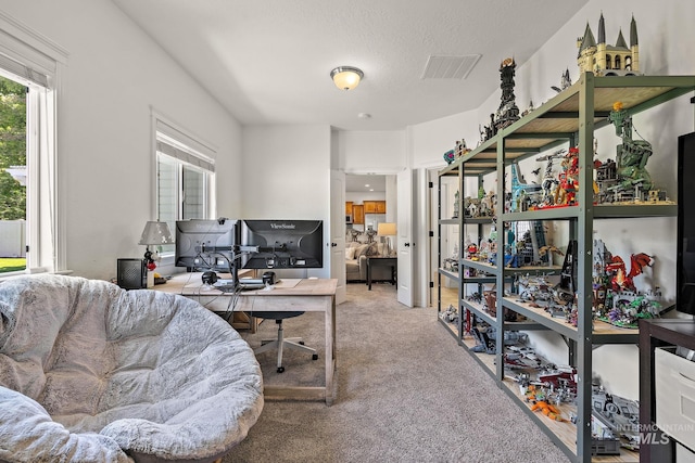 4902 N Schubert Ave, Meridian, ID 83646 - office area with plenty of natural light and carpet flooring