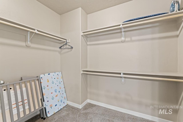 spacious closet featuring carpet floors